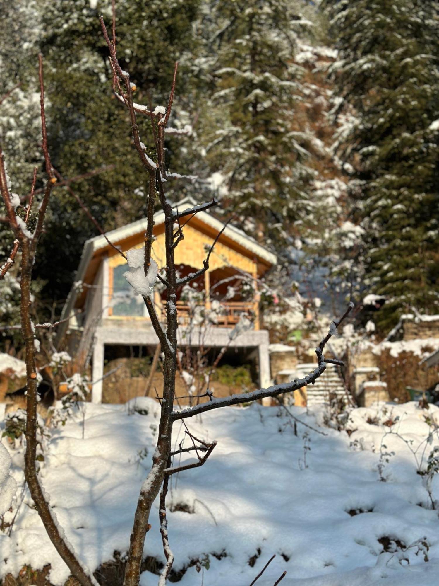 Hotel Tree House Latos Tandi Jibhi Zewnętrze zdjęcie